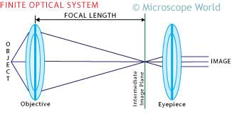 objective on a microscope|microscope focal point explained.